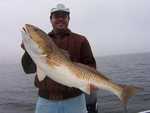 Monster Bull Redfish!!! caught in 3' of water and only 5minuets from the dock!!! 
Get Your Customized Gift Certificates Now for Christmas!!!

Drive extra Carfull in the FOG it been thick for a few days in a row. 
All of the fish caught within 20 minuets of the Dock!!! 
Need a place to stay this weekend for your Duck Hunting or Fishing Call??? Six Comfortable Private Deluxe Overnight Accommodations in Hopedale with Plenty of Open Dates in December!!! 

The Catch Monday Boat 1 
65 Speckled Trout Do you need to fill your freezer now is a good time!!! 
6 Redfish 
2 Bass!!! 

The Catch Wednesday Boat 1 Guides Scouting trip!!! 
50 Speckled Trout (Limited Out !!!)(2lbs to 3lbs Class!!!) 

The Catch Wednesday Boat 1 
20 Speckled Trout (Just keeping a few, wanted redfish!!!) 
12 Redfish ( Released 8 to fight another day!!!) 

The Catch Thursday Boat 1 late start due to the FOG!!! 
100 Speckled Trout (Limited Out!!!) 
10 Redfish 

The Catch Sunday Boat 1 Windy 30 Miles per hour 
75 Speckled Trout (Limited Out!!!) (2lbs to 3lbs Class!!!) 
6 Redfish 
P0085741.JPG