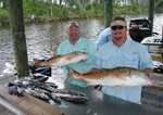 Nice Redfish!!! ZZZZZZZZZZ!!! 
Now the Winter fishing is ON in The Marsh and Bayous!!! Still catching limits of Speckled Trout, Redfish and a few Flounder on Live Shrimp just minutes from the Dock!!! You really need to have some of this fun!!! A Summer that was filled with many Long Lasting Memories!!! Still Working on the 7 New Boat Hoist and working on the Properties!!! The New Deluxe Overnight Accommodations are Available one with a 360 degree view of the Marsh and Bayous!!! Now Lodging to Accommodate up to 30 anglers!!! Multiple Charter Boats Available!!! The Main Dock is Lighted for Night Fishing!!! 
May - October was filled with many Successful Days on the Bayou!!! 
P0100907.jpg