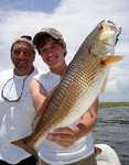Monster Bull Redfish!!!ZZZZZZZZZZZZZZZZZZZZ!!! 
Even When the water is low and muddy fish along the shore with Dead Shrimp under a Cajun Thunder Cork and you will land some Redfish for the Grill!!! 
This will work all winter long!!! 
Catching Speckled Trout, Redfish and a few Flounder on Live Shrimp just minutes from the Dock!!! Still Working on the 7 New Boat Hoist and working on the Properties!!! The New Deluxe Overnight Accommodations are Available one with a 360 degree view of the Marsh and Bayous!!! Now Lodging to Accommodate up to 30 anglers!!! Multiple Charter Boats Available!!! The Main Dock is Lighted for Night Fishing!!! 
May - November was filled with many Successful Days on the Bayou!!! P0101229.jpg
