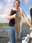 Monster Bull Redfish Caught By Tessa Lee
ZZZZZZZZZZZZZZZZZZZ!!!
DSC07948.JPG